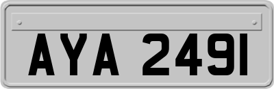 AYA2491