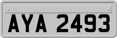 AYA2493