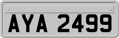 AYA2499