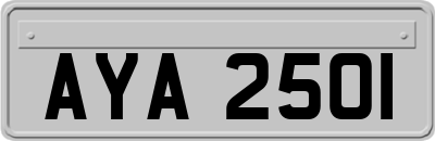 AYA2501