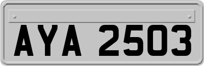 AYA2503