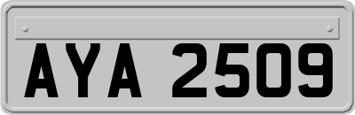 AYA2509