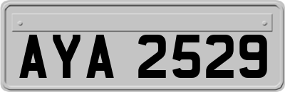 AYA2529