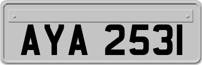 AYA2531