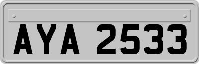 AYA2533