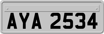 AYA2534