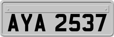 AYA2537