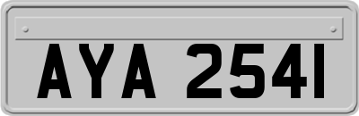 AYA2541