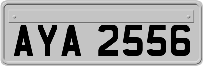 AYA2556