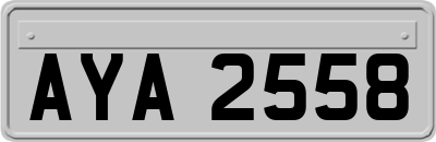 AYA2558