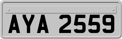 AYA2559