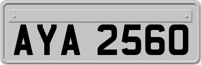 AYA2560