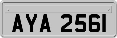 AYA2561