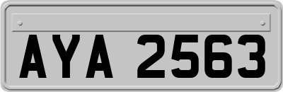 AYA2563