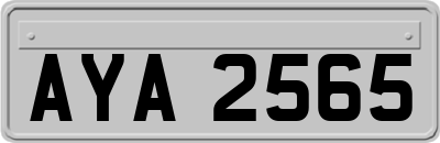 AYA2565