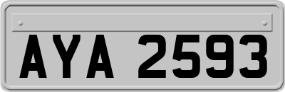 AYA2593