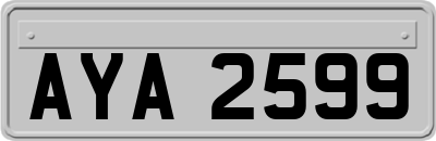 AYA2599