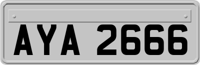 AYA2666