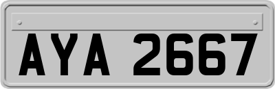 AYA2667
