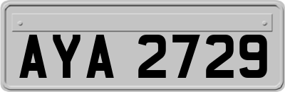 AYA2729