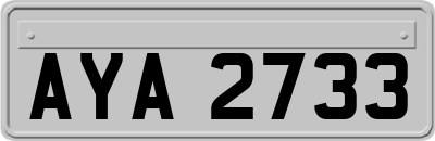 AYA2733