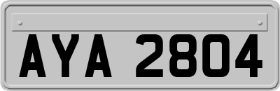 AYA2804