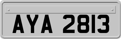 AYA2813
