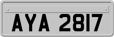 AYA2817