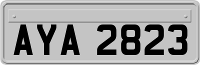 AYA2823