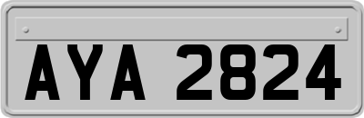 AYA2824