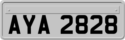 AYA2828