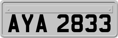 AYA2833