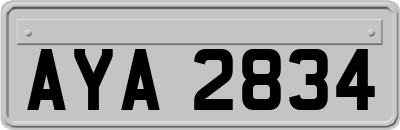 AYA2834