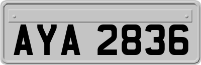 AYA2836