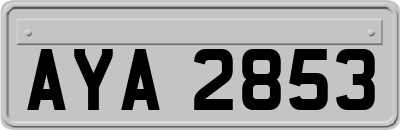 AYA2853