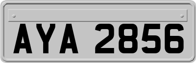 AYA2856