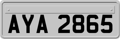 AYA2865