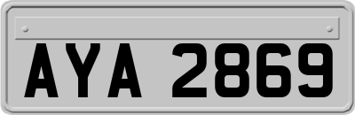 AYA2869