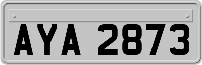 AYA2873