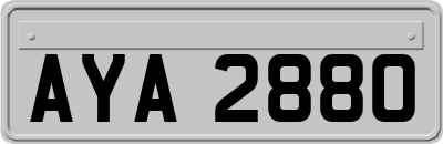 AYA2880