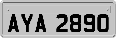 AYA2890