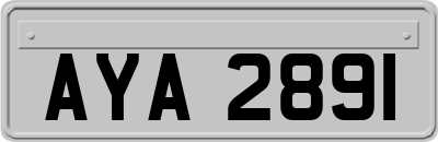 AYA2891
