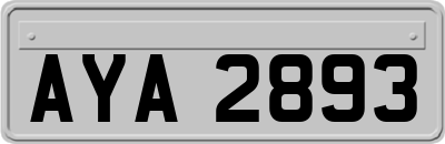AYA2893