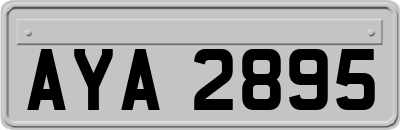 AYA2895