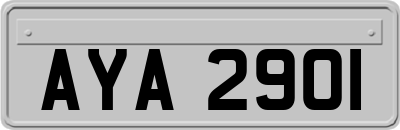 AYA2901