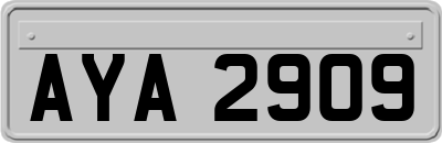 AYA2909