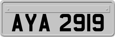 AYA2919