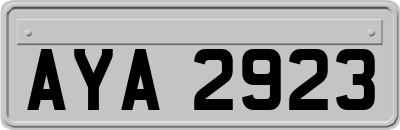 AYA2923