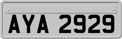 AYA2929