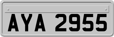 AYA2955